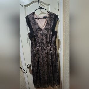 Layne Bryant Black Lace Flutter Sleeve Dress Sz 18